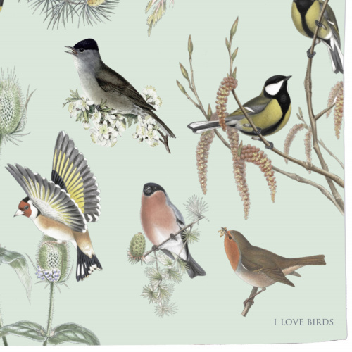 Koustrup & Co. de stof - de vogels van de tuin
