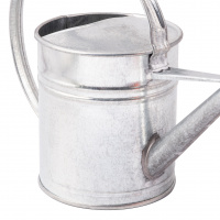 Guillouard 1 L watering can