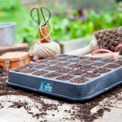 Wildlife World germination tray in natural rubber - 30
