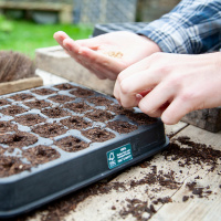Wildlife World germination tray in natural rubber - 30