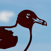Metalbird bird in corten steel - hooded gull