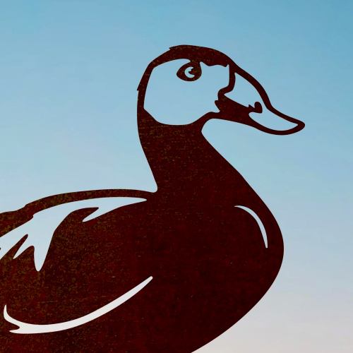 Metalbird bird in corten steel - white-headed duck