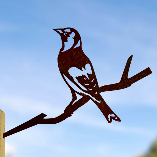 Metalbird bird in corten steel - stillits