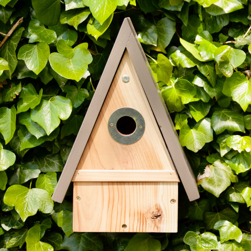 Wildlife World nest box