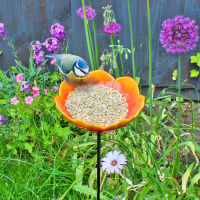 Wildlife World bird feeder in ceramic - poppy