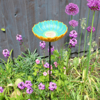 Wildlife World ceramic bird bath - daisies