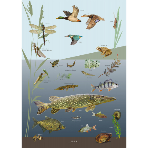 Koustrup & Co. Poster mit See & Fluss - A4 (Dänisch)