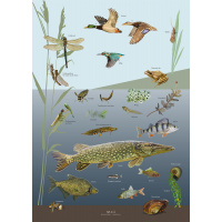 Koustrup & Co. Poster mit See & Fluss - A2 (Dänisch)