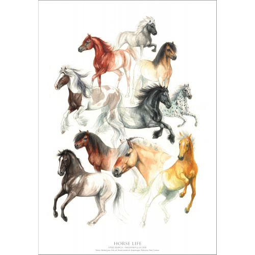 Koustrup & Co. poster with horses - A2 (Danish)