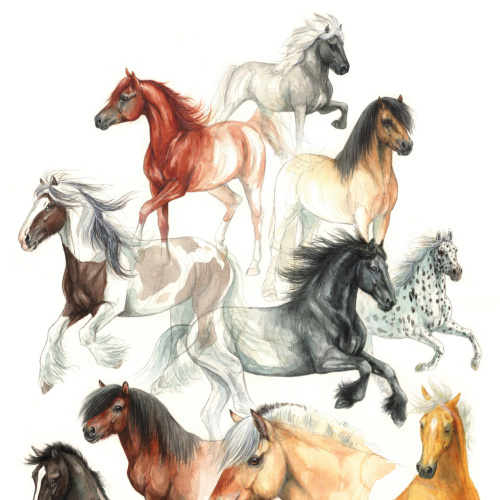 Koustrup & Co. affisch med hästar - A2 (dansk)