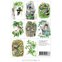 Koustrup & Co. Kartenmappe - Vögel des Waldes