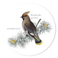 Koustrup & Co. glasbitar - fåglar i barrträ