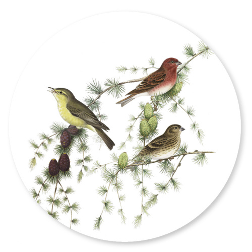 Koustrup & Co. glass pieces - birds in coniferous wood