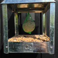 A2 Living bird feeder - green