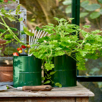 A2 Living plant pots, 3 pcs. - green
