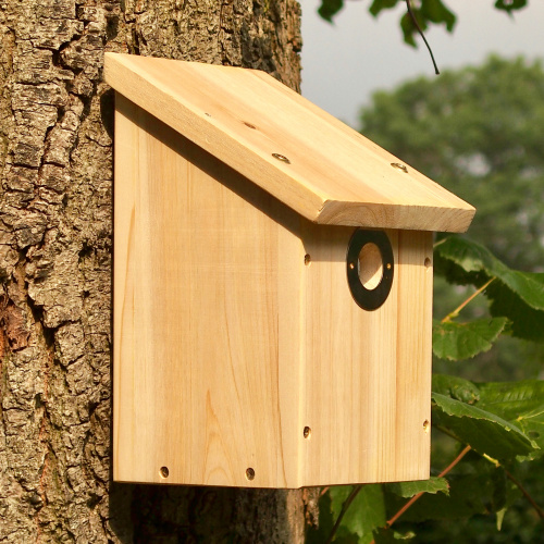 Wildlife World nest box for camera