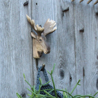 Wildlife Garden knage - elg