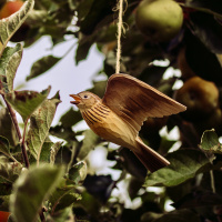 Wildlife Garden vögel aus Holz - Singlerche