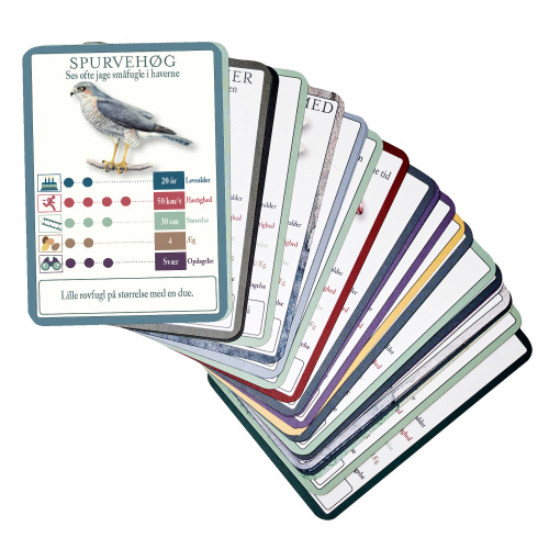 Koustrup & Co. Spielkarten mit Vögeln