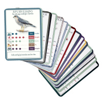 Koustrup & Co. spela kort med fåglar