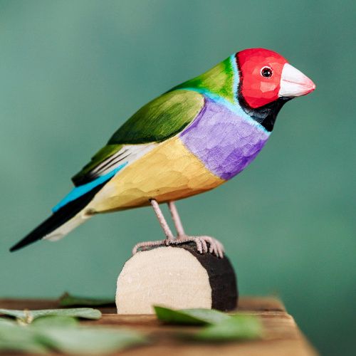 Wildlife Garden vögel aus Holz - Gouldsamadine