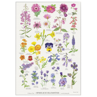 Koustrup & Co. Poster mit essbaren Blumen - A2 (Dänisch)