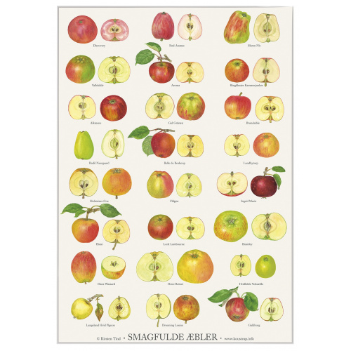 Koustrup & Co. affisch med läckra äpplen - A2 (dansk)