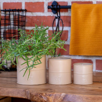 A2 Living plant pots, 3 pcs. - brown