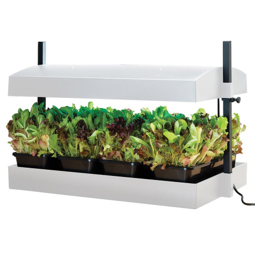 Garland growth system with LED, large - white