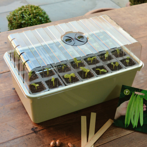 Garland mini greenhouse for deep roots