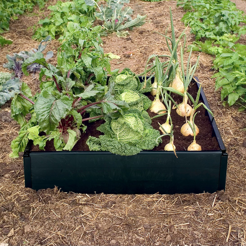 Garland raised bed in plastic - large