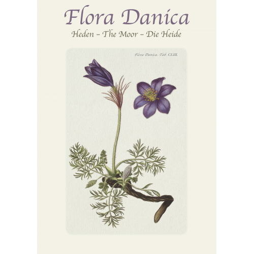 Flora Danica Kartenmappe - die Heide
