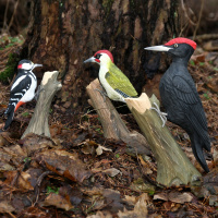 Wildlife Garden Vögel aus Holz Specht