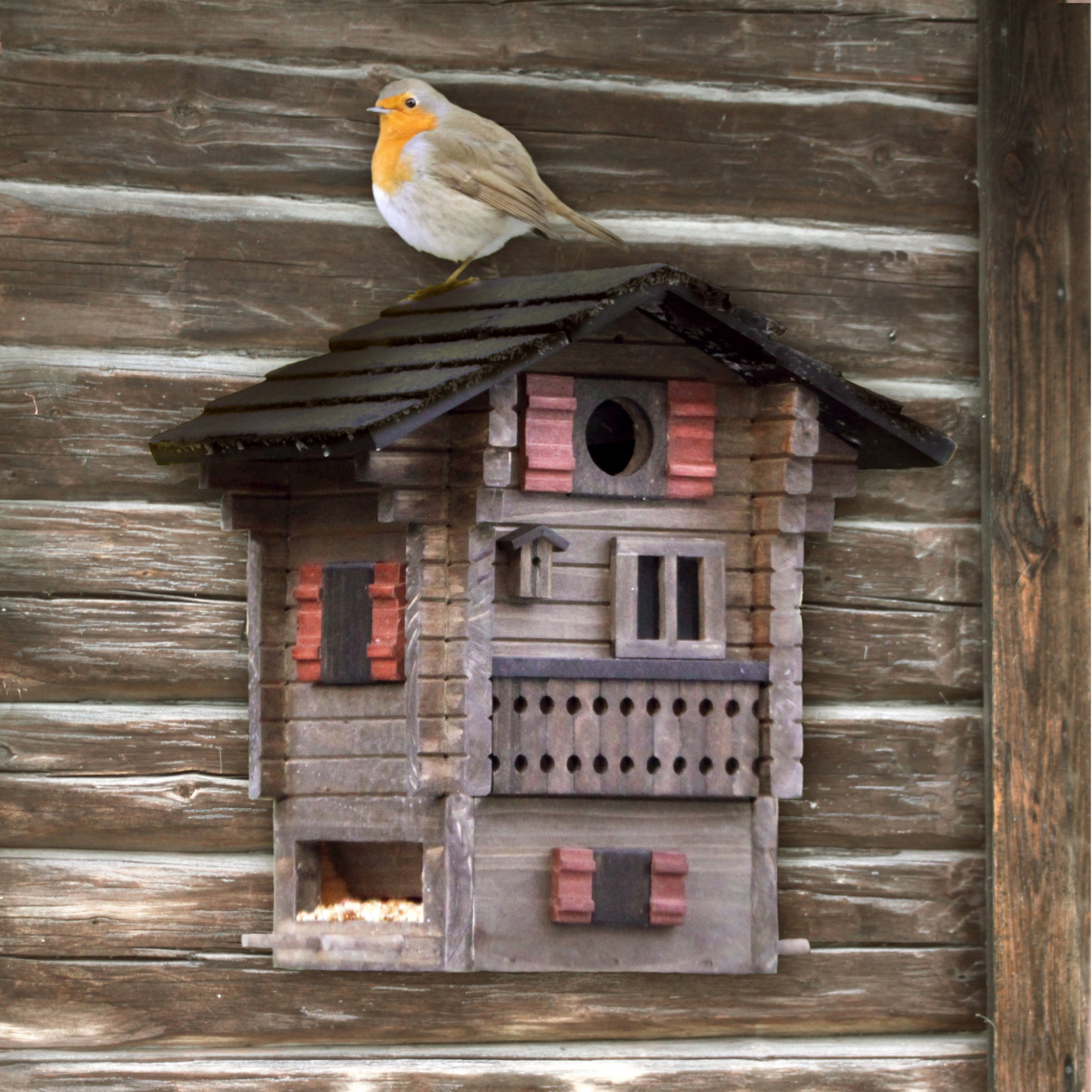 Wildlife Garden nest box / automatic feeder - hut
