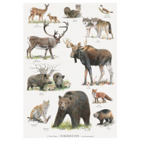 Koustrup & Co. poster with Nordic animals - A2 (Danish)