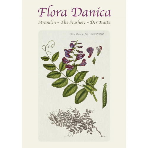 Flora Danica kaartenmap - het strand