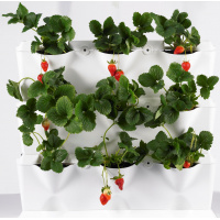 Minigarden Vertikal växtvägg - vit