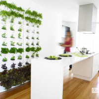 Minigarden Vertikal grönsaksträdgård - vit