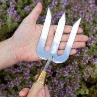 Sophie Conran planting fork