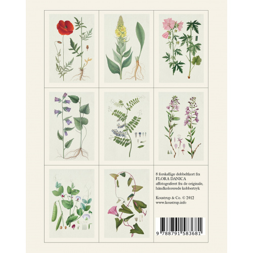 Flora Danica card folder - summer