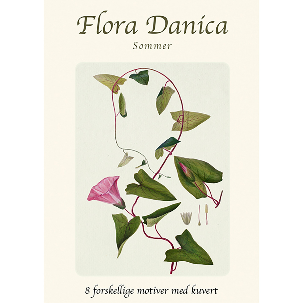 Flora Danica kortmapp - sommar