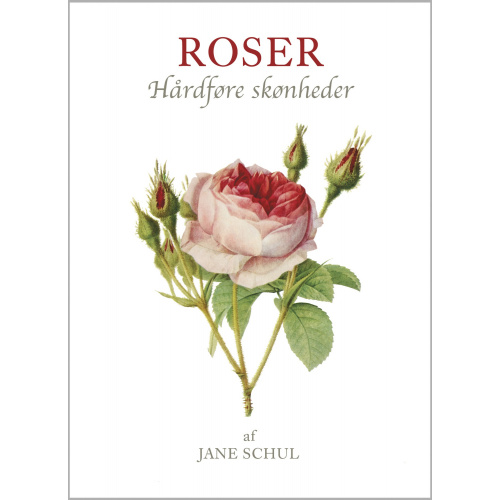 Koustrup's small white - Roses