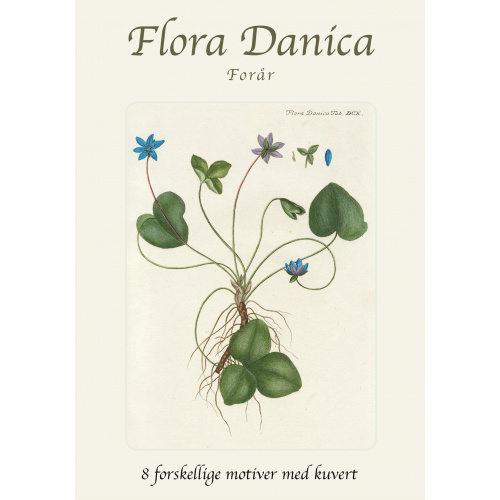 Flora Danica kaartenmapje - lente