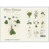 Flora Danica card folder - spring