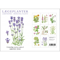 Koustrup & Co. card folder - medicinal plants
