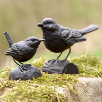 Wildlife Garden Cast Iron Bird - koltrast