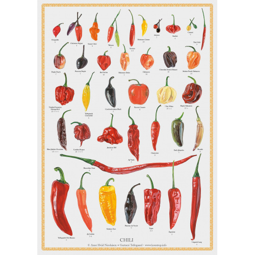Koustrup & Co. affisch med chili - A2 (dansk)