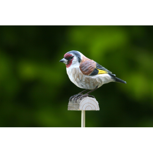 Wildlife Garden boomvogel - stillits