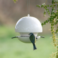 Green & Blue matboll för fågelfrö - vit