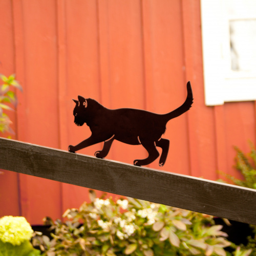Dieren in het Wildlife Garden dier silhouet - kat